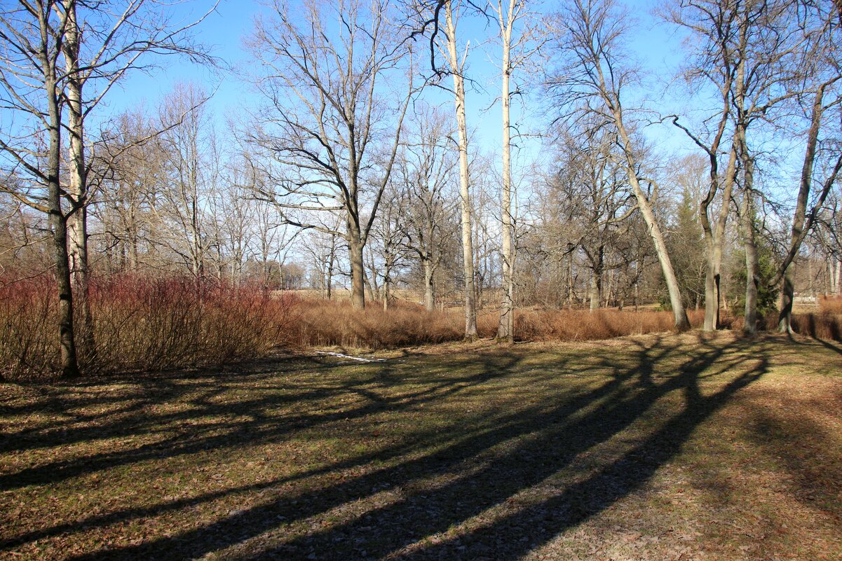 Парк Александрия - Наталья Герасимова