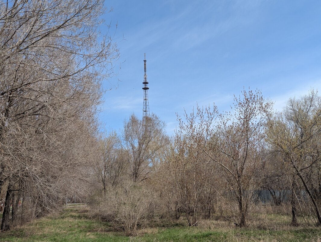 Апрельское утро - Андрей Хлопонин