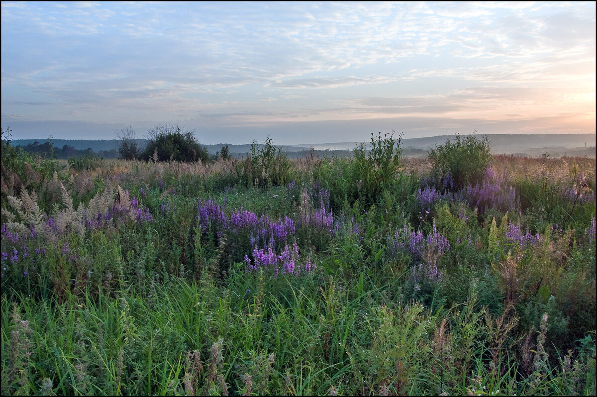 Утро - **** vedin Утро - **** vedin