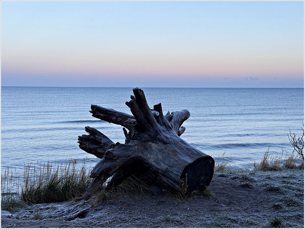 У моря. - Валерия Комова У моря. - Валерия Комова