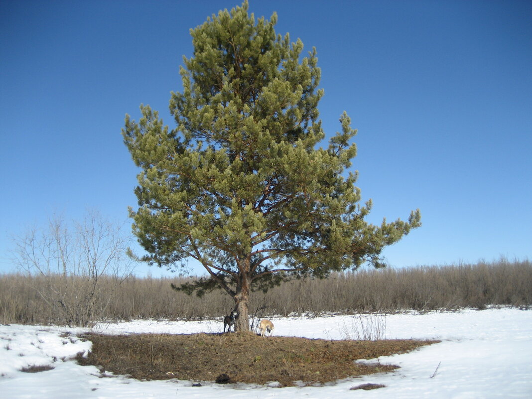 На острове - Anna Ivanova