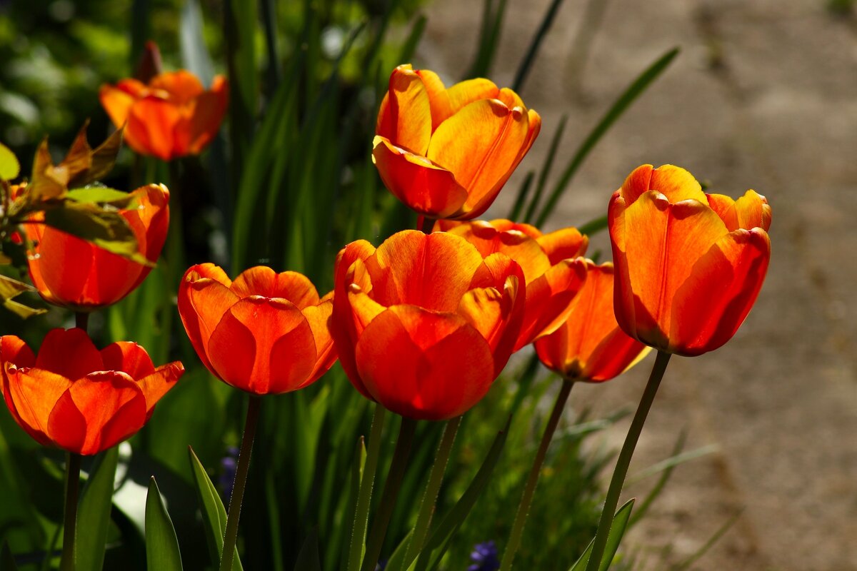 Доброе утро - Юрий. Шмаков