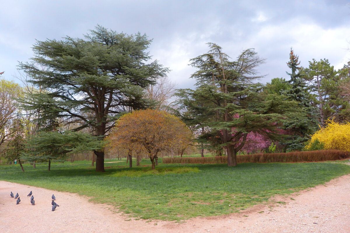 Весенний  пейзаж - Валентин Семчишин