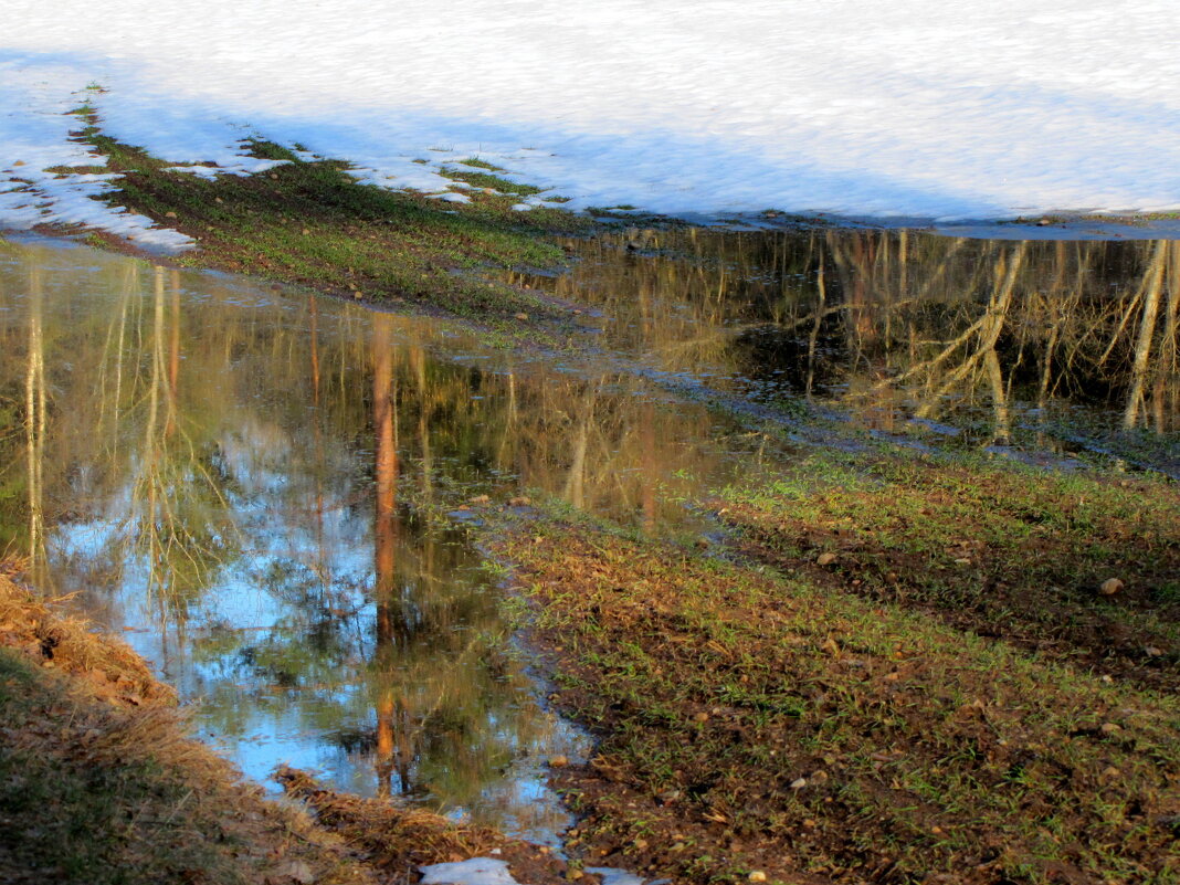 Весеннее отражение в лужах... - Татьяна Гнездилова Весеннее отражение в лужах... - Татьяна Гнездилова