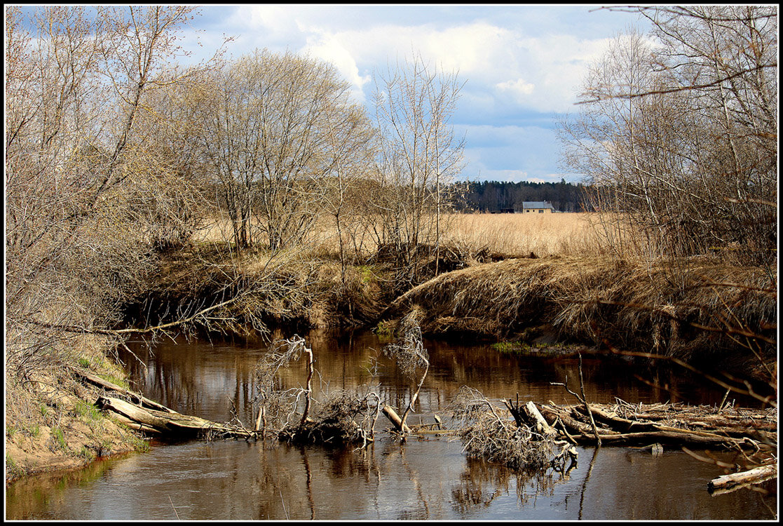 НАСТАЛ АПРЕЛЬ - Aleksandr Gal