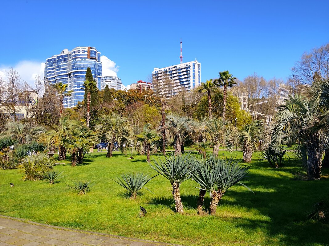 Воскресный день - Tata Wolf