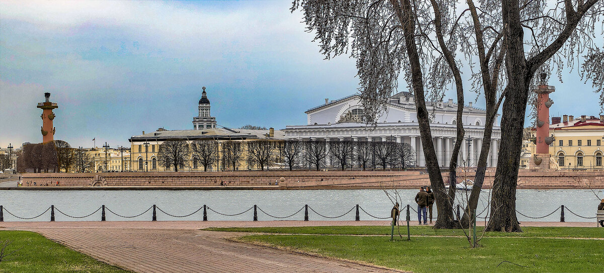 Стрелка Васильевского острова 14 апреля 2026 года - Стальбаум Юрий Стрелка Васильевского острова 14 апреля 2026 года - Стальбаум Юрий