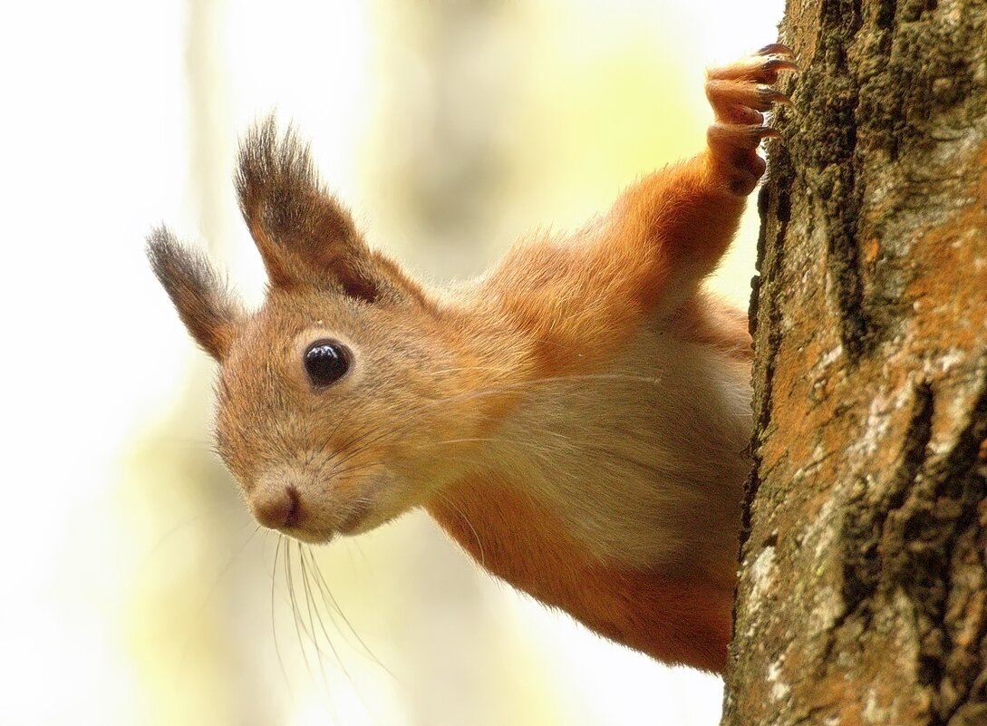 Интерес - Вячеслав Минаев