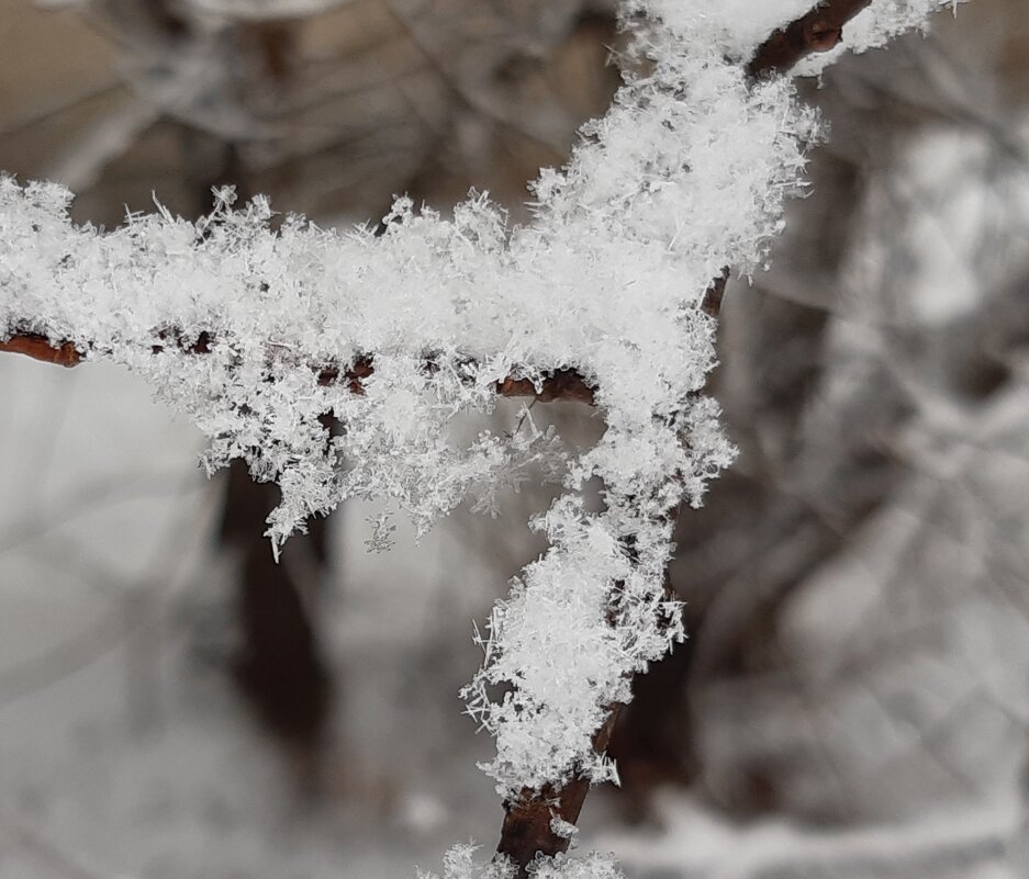 И снова выпал снег... - Галина Минчук
