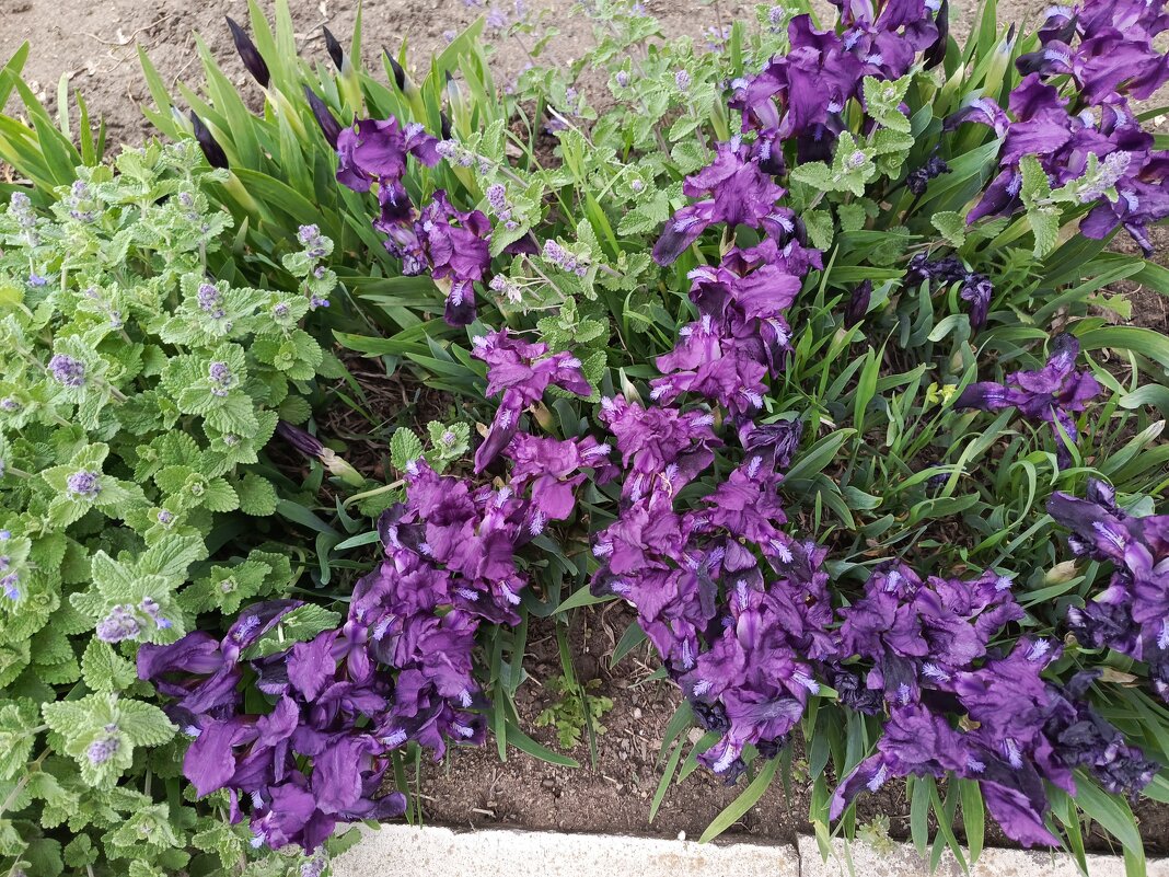 Христос Воскрес! - Татьяна Пальчикова Христос Воскрес! - Татьяна Пальчикова