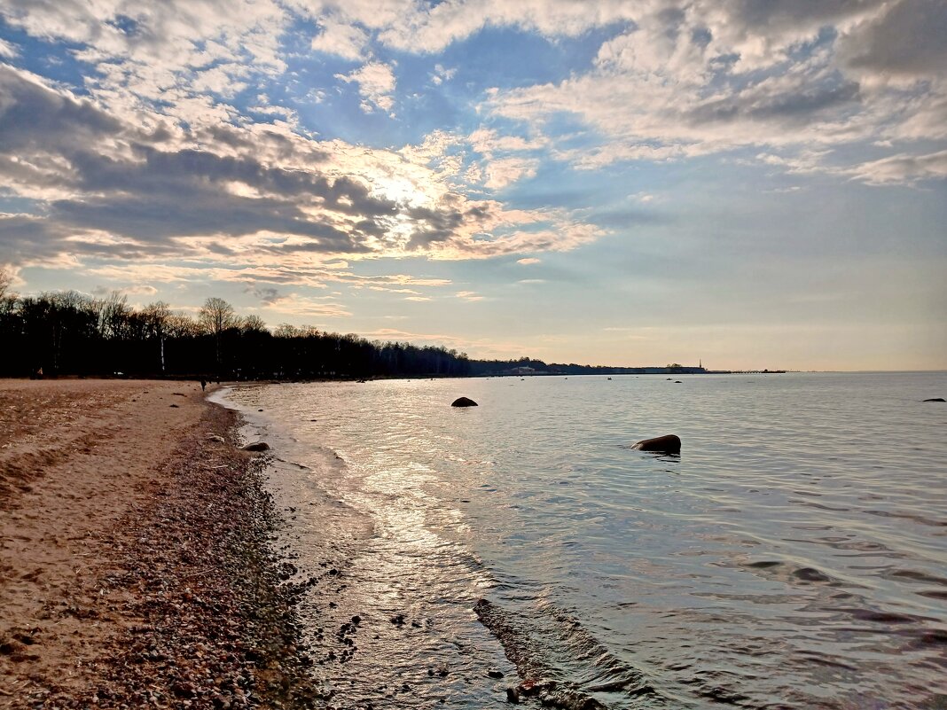 Вечернее весеннее солнце. - Лия ☼