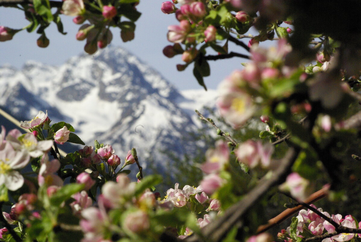 Окно ... - Андрей Любимов