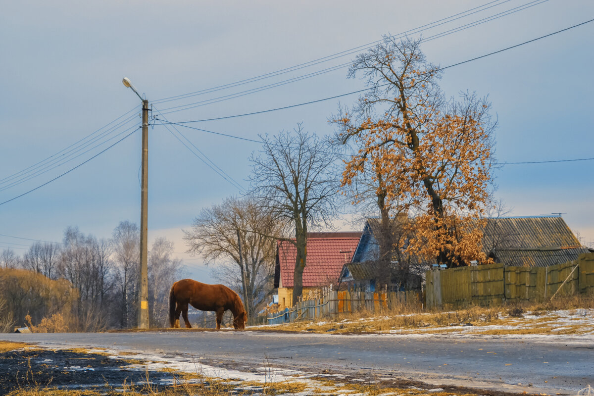 Весна в деревне - Олег Подлесных