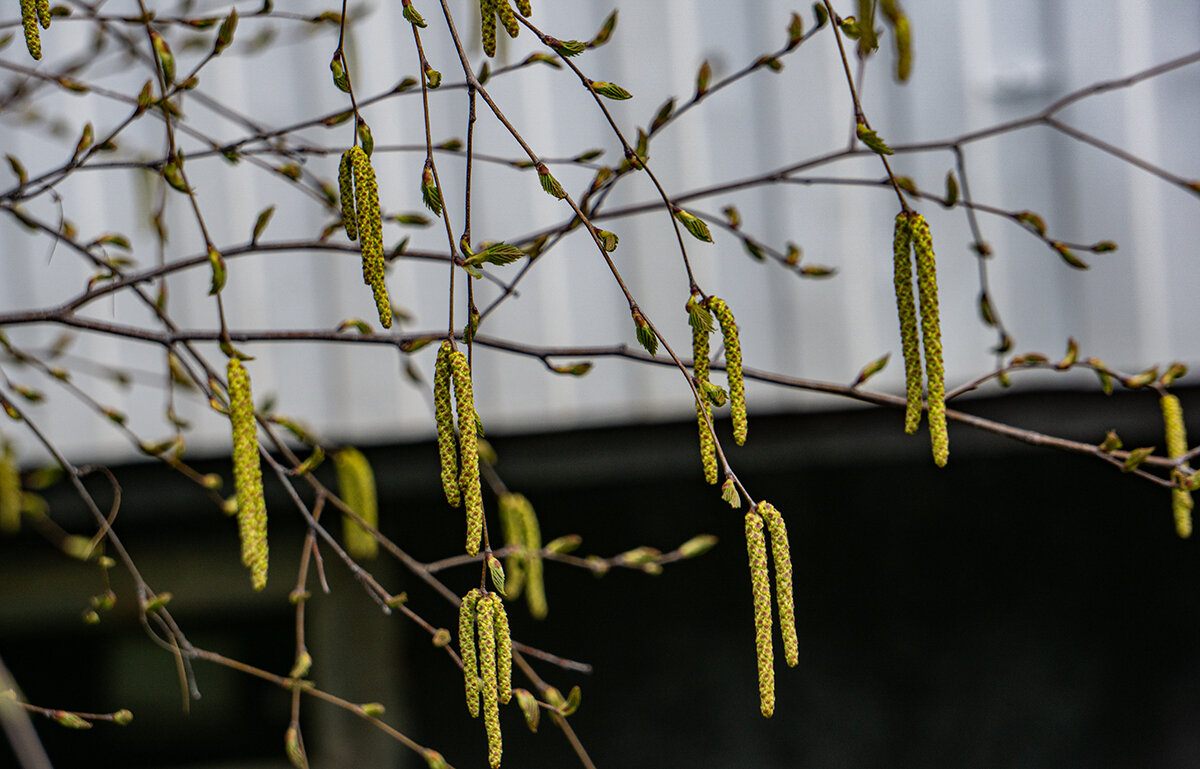 Ещё чуть-чуть, и..... - Ирина Соловьёва