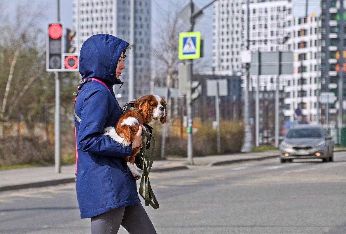 Любимый друг - Валерий Иванович