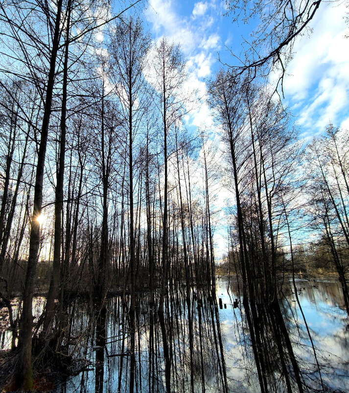 Вешние воды - Елена 