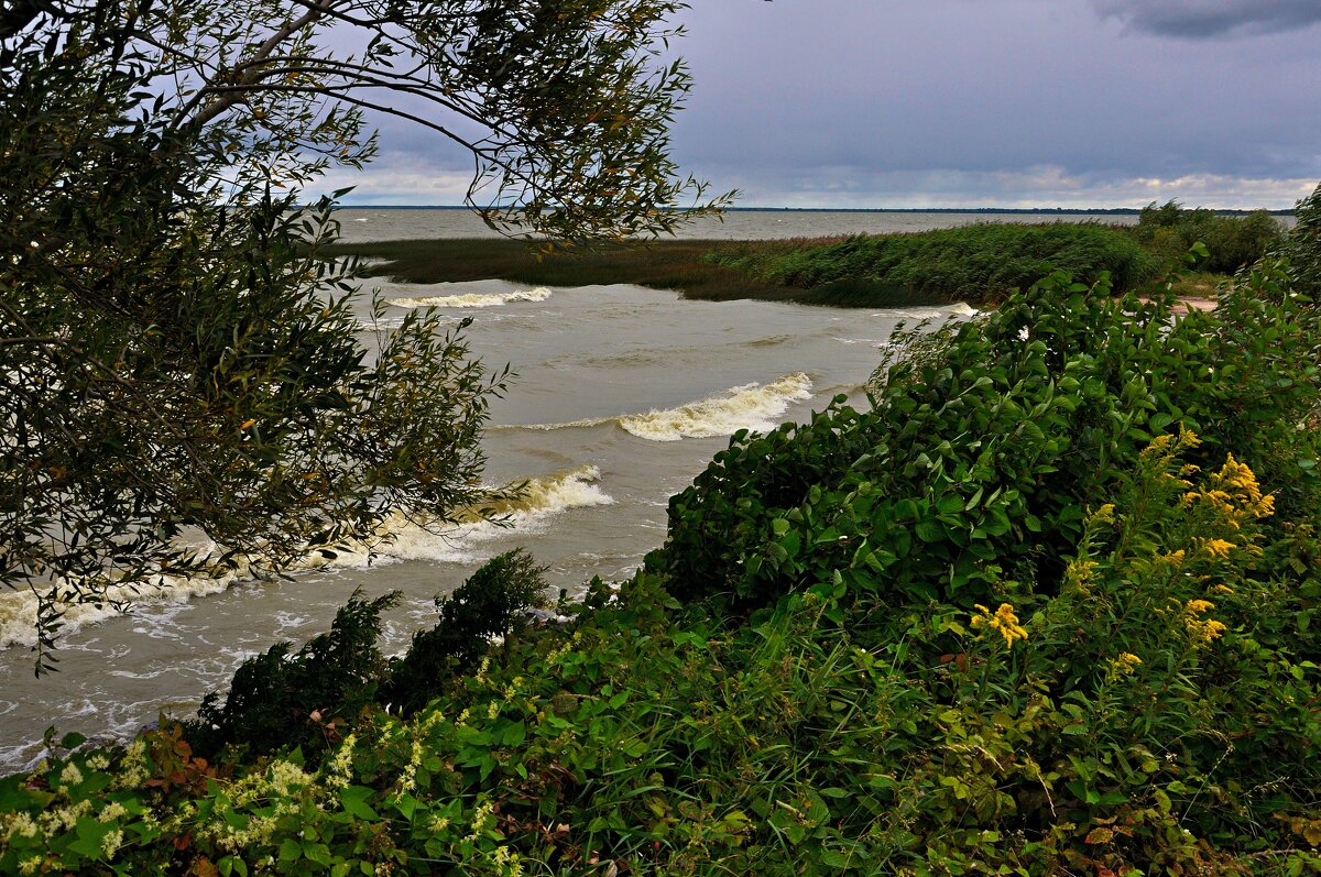 Непогодится, предосенняя пора - В.И 