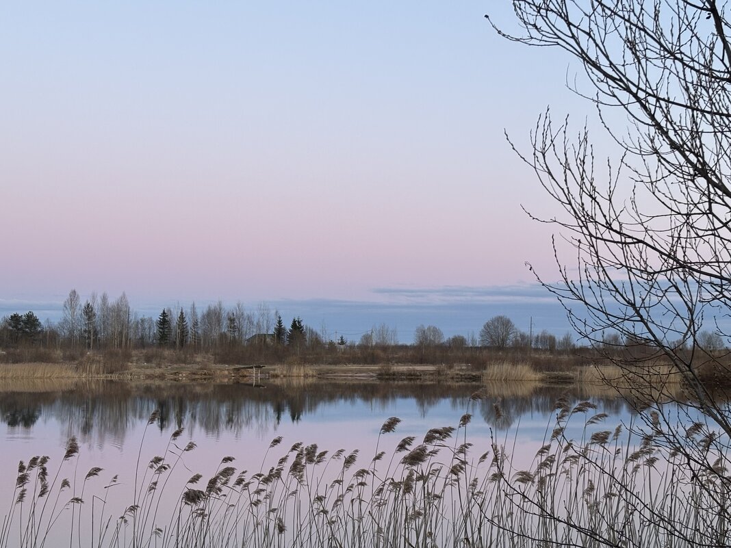 Тишь да гладь - Ольга Савельева 