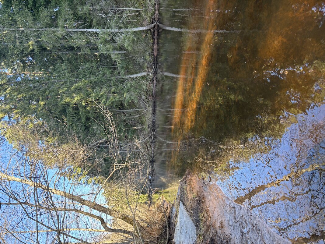 Река - Ольга Савельева 