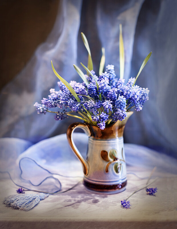 Мускарики. - Bosanat Мускарики. - Bosanat