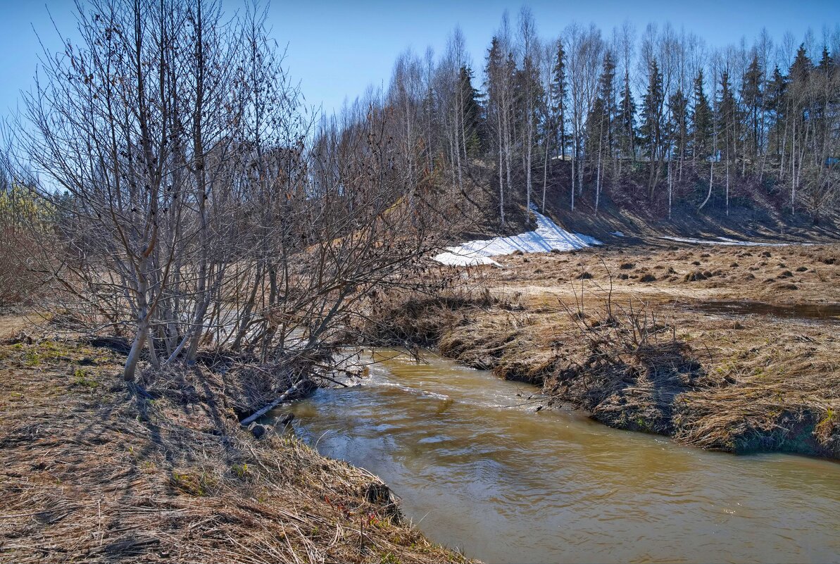 "Прозрачная весна на Кукшуме. Серединка апреля"© - Владимир Макаров