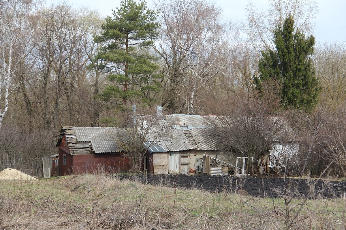 Провинциальные зарисовки - Елена Минина
