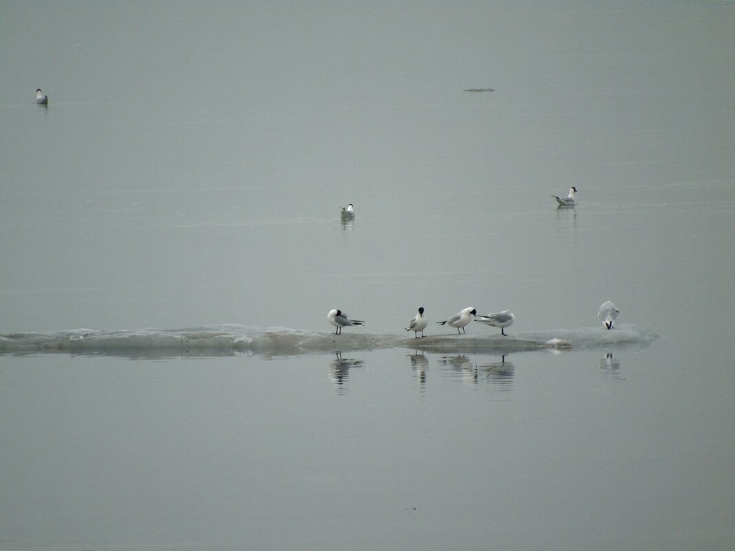 пункт прибытия - Aндрей Антонов