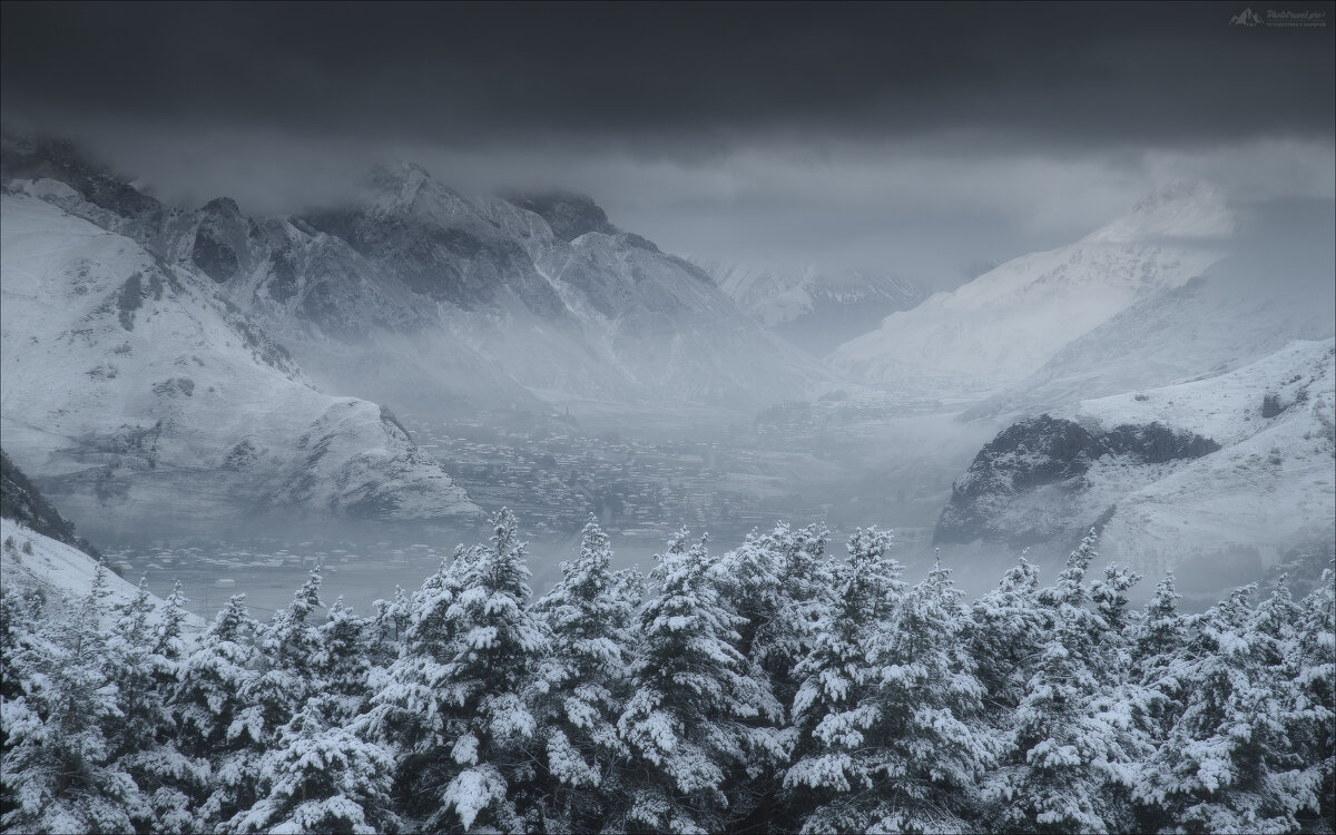 Безмолвие - Влад Соколовский