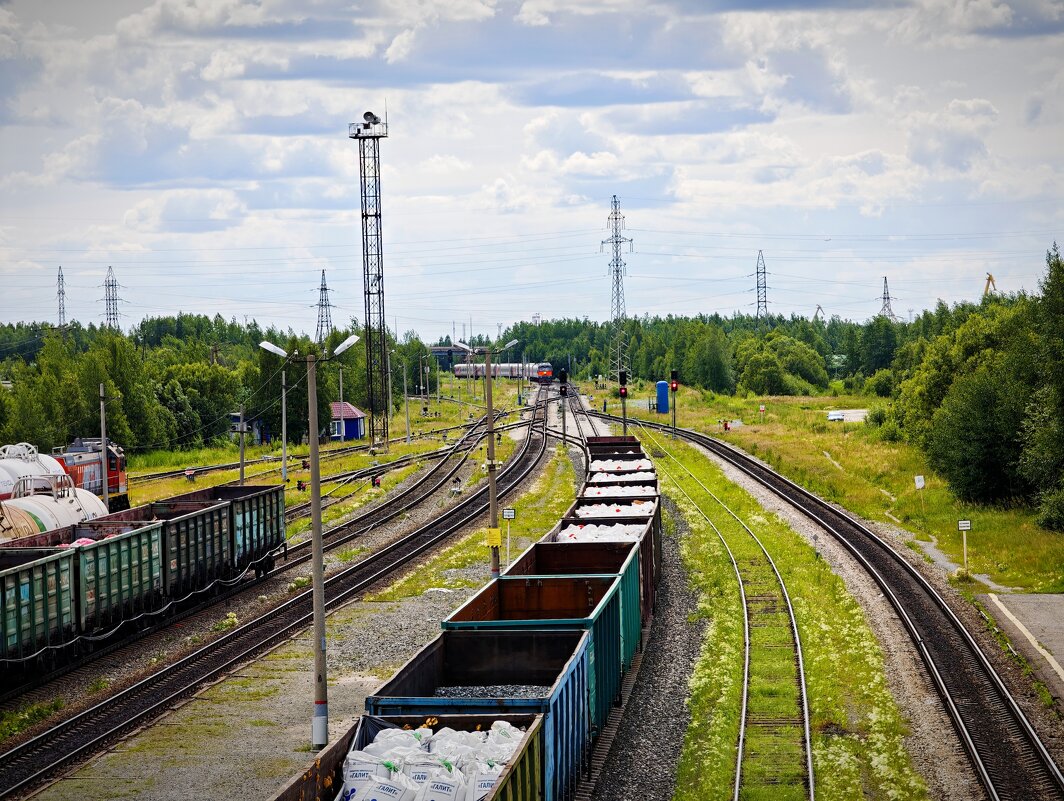 Поезд на север - Александр 