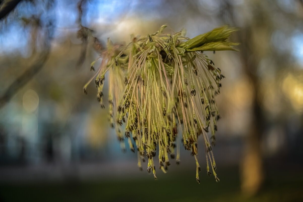 Инагент. - Николай Инагент. - Николай