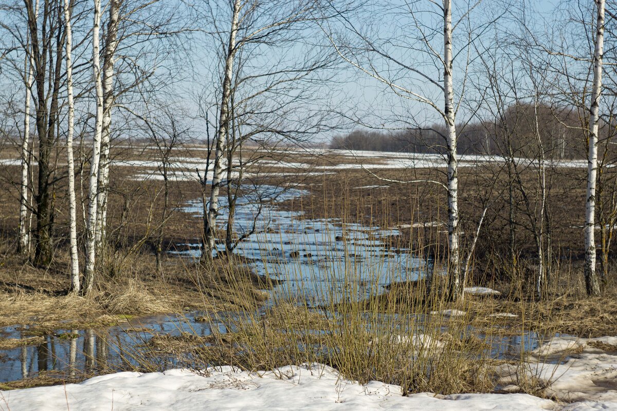 Весна - Дмитрий Ряховский