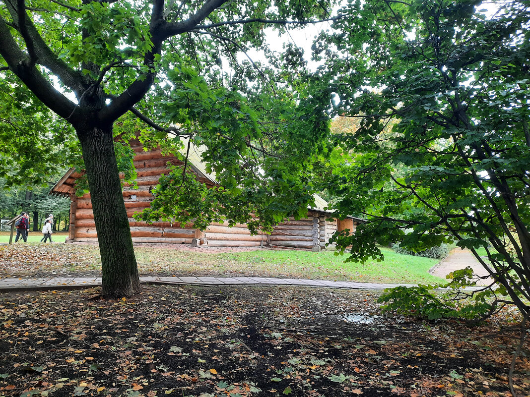 Осень в Коломенском - Irene Irene