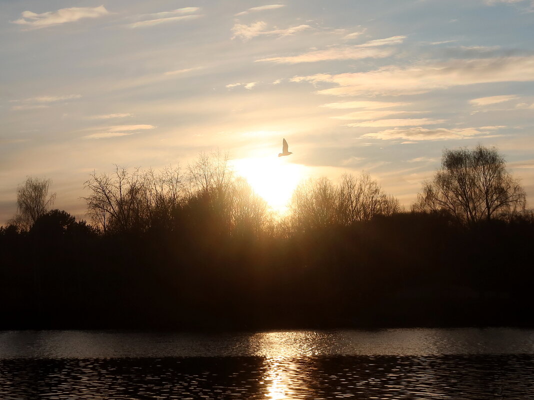 Закат - Дмитрий И_ Закат - Дмитрий И_
