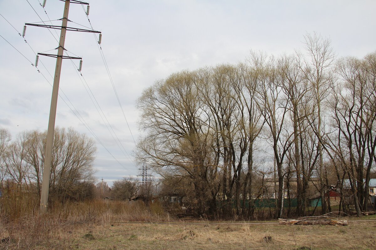 Провинциальные зарисовки - Елена Минина