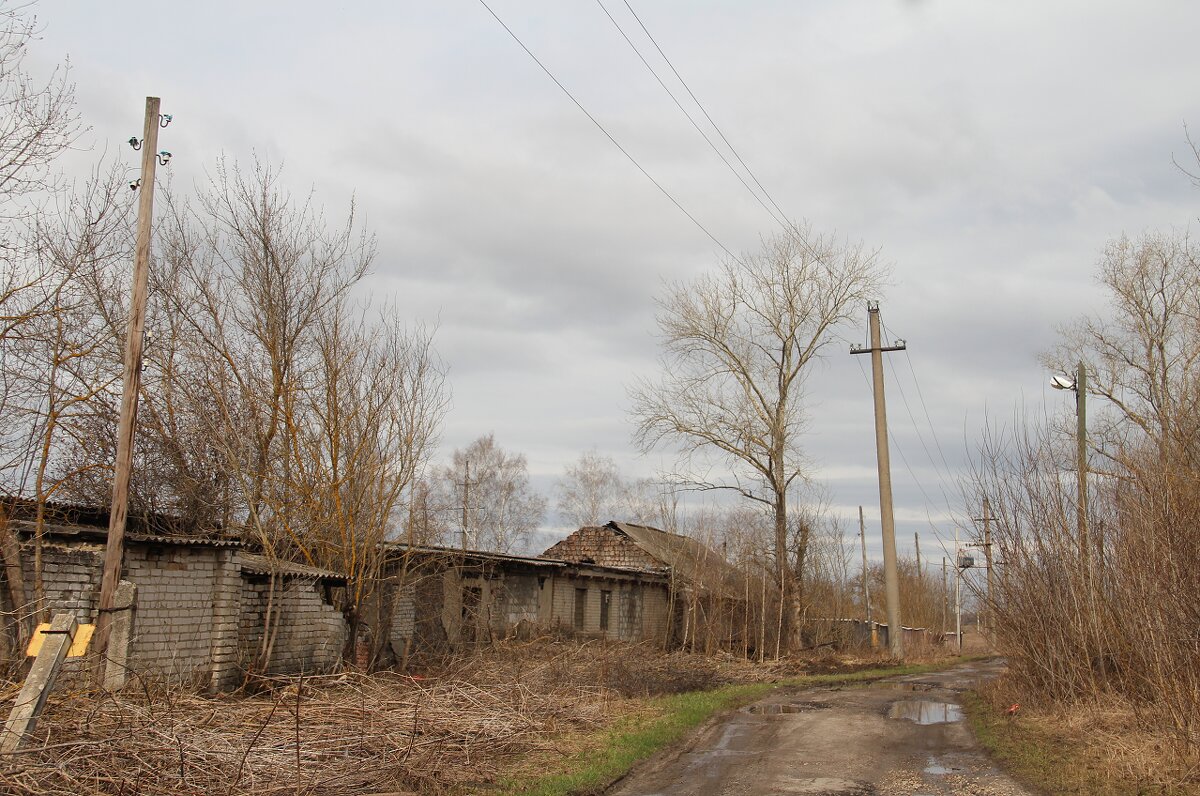 Провинциальные зарисовки - Елена Минина