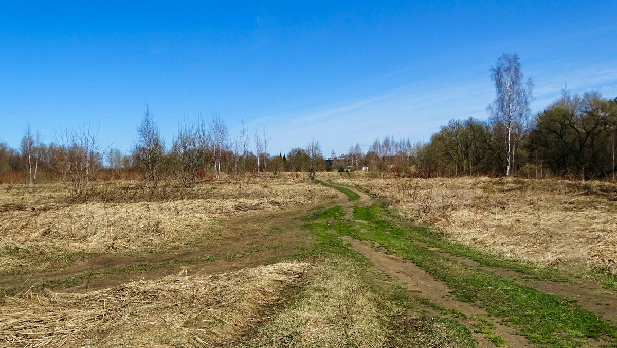 Деревенская дорога. - Милешкин Владимир Алексеевич 
