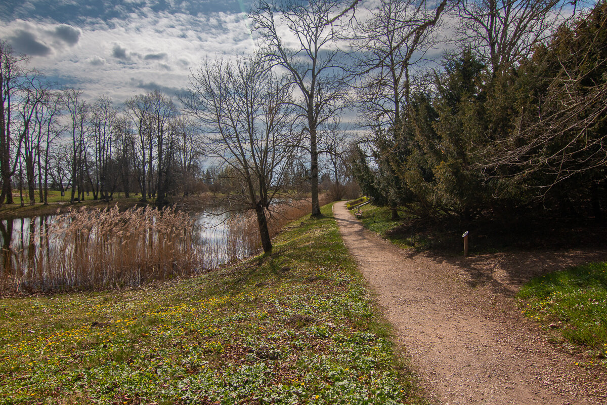 *** - Геннадий Порохов