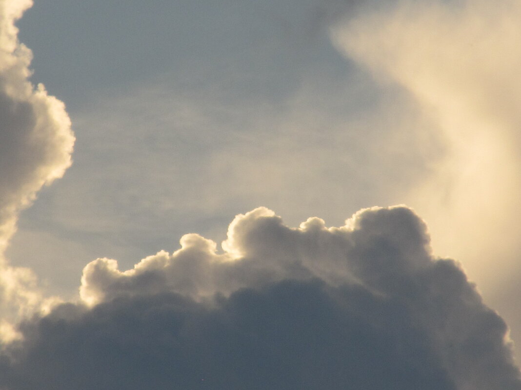 младенец на облаке - Елена Шаламова