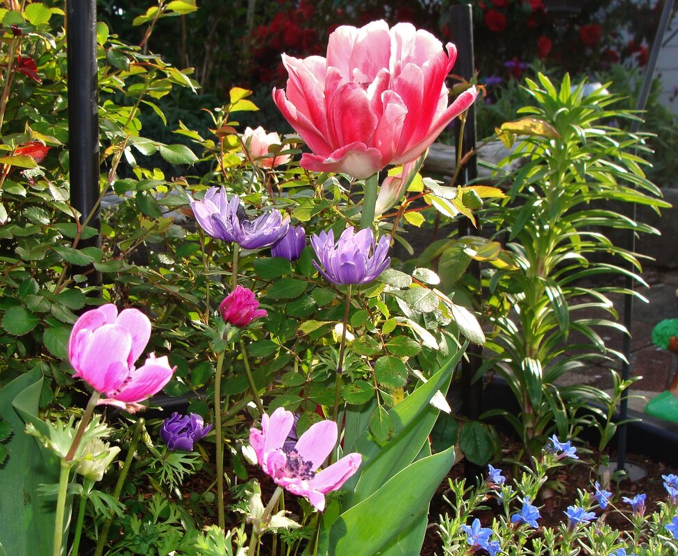 Цветы весны - Viktor Odysey