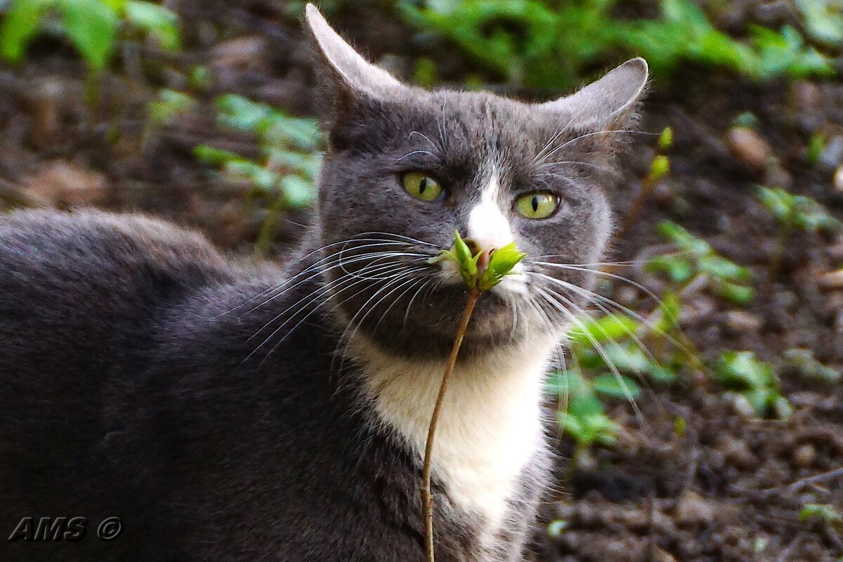 Мотя - kolyeretka Мотя - kolyeretka