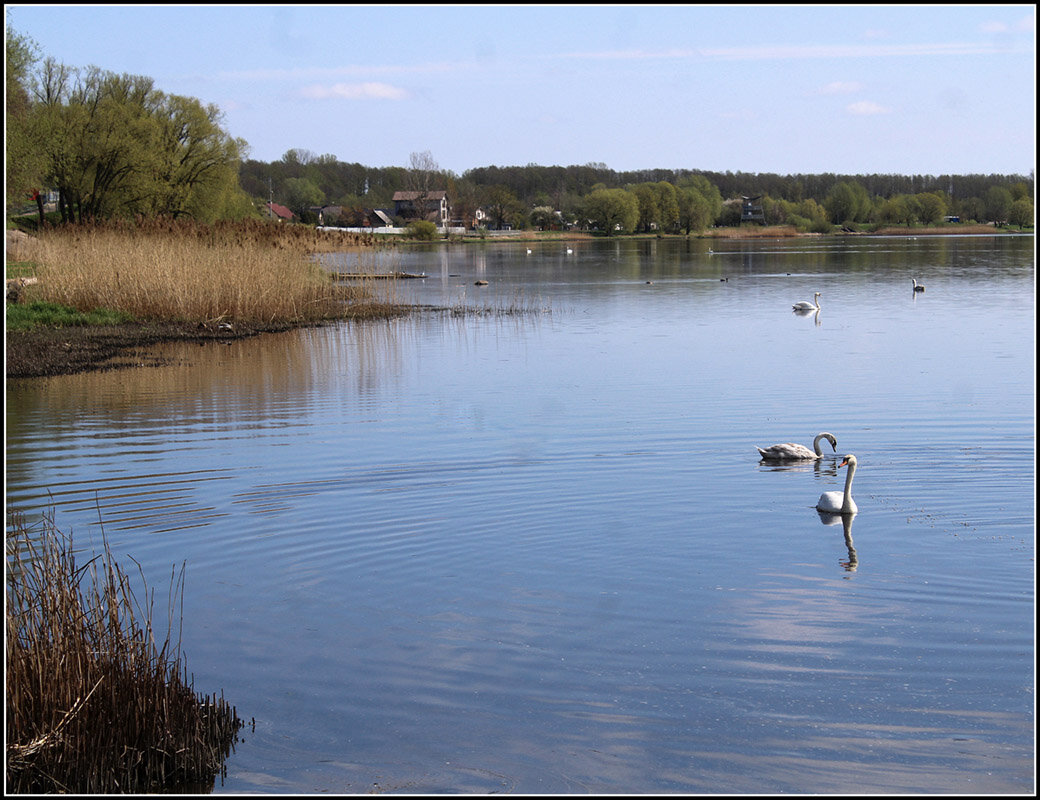 *** - Aleksandr Gal *** - Aleksandr Gal