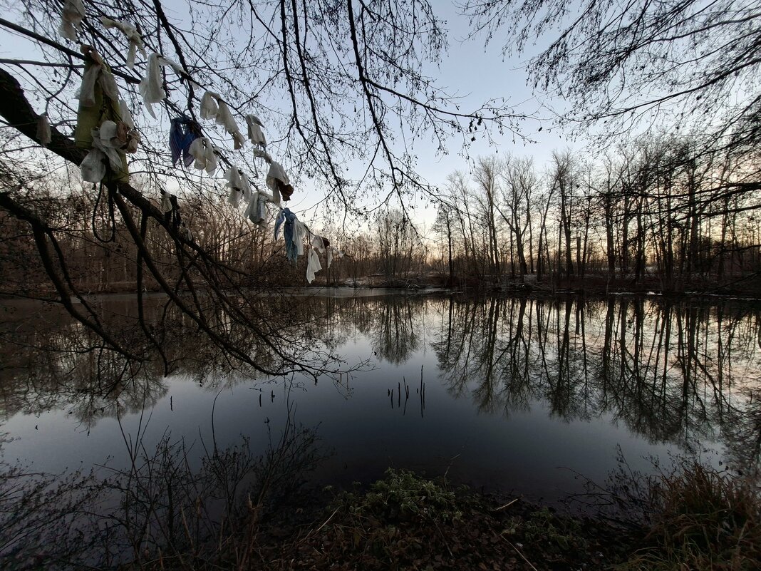 Вечер - ИРЭН@ . Вечер - ИРЭН@ .