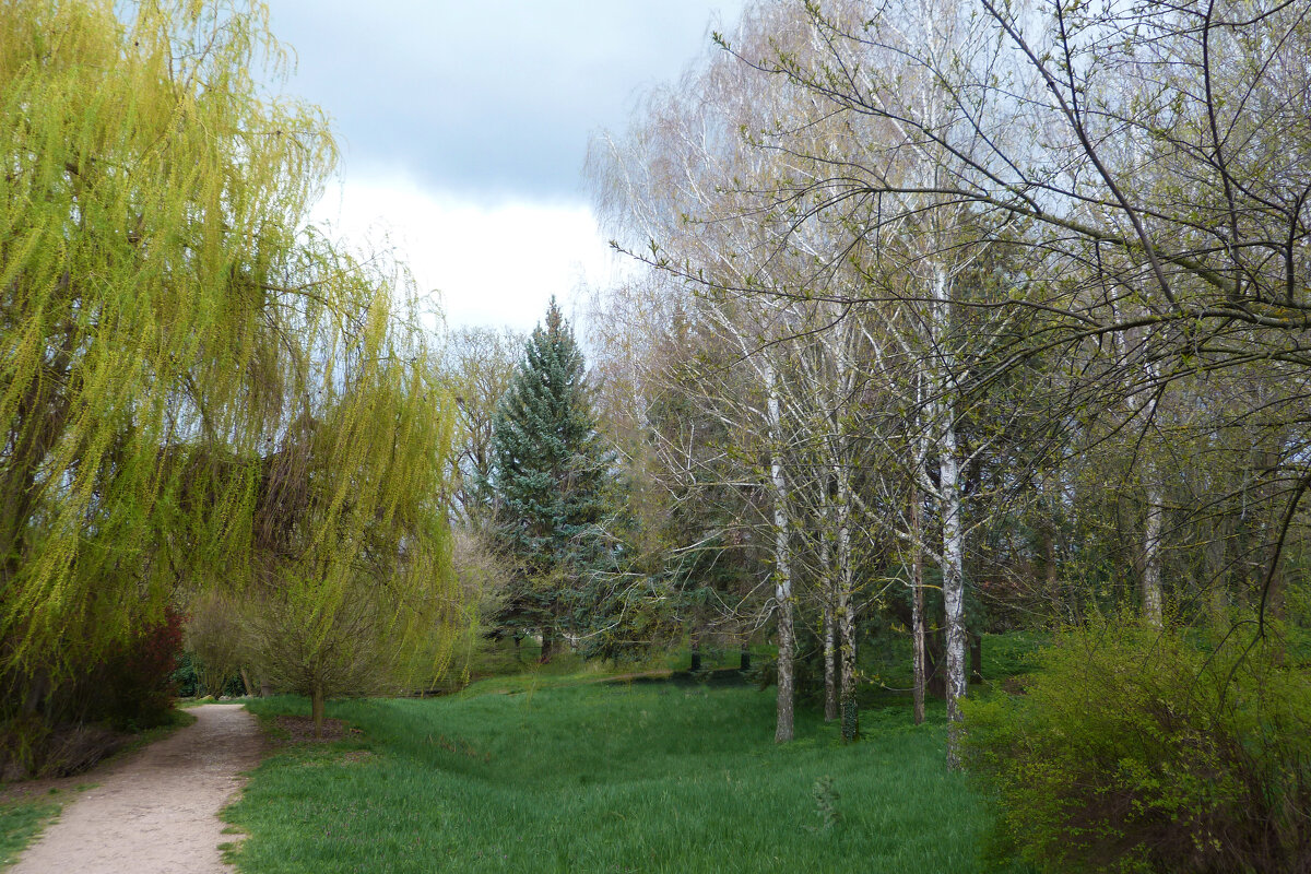 Весенний  пейзаж - Валентин Семчишин