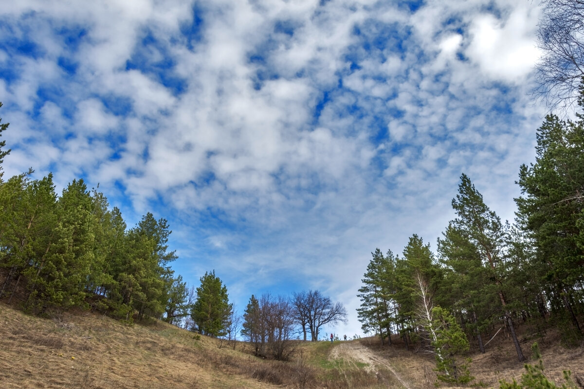 Посмотри, как он хорош, мир, в котором ты живешь! - Наталья Димова Посмотри, как он хорош, мир, в котором ты живешь! - Наталья Димова