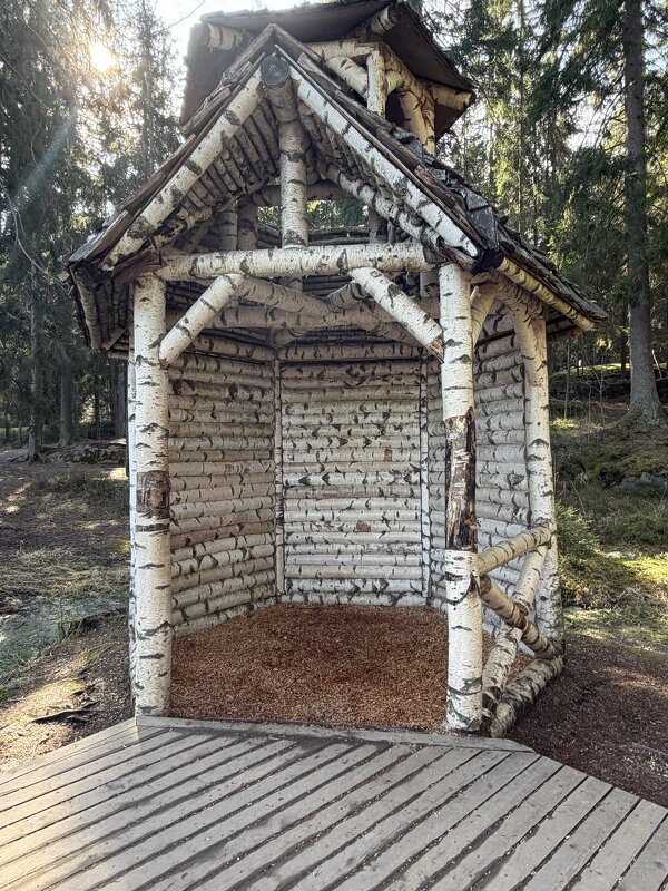 Выборг. Хижина отшельника в парке Монрепо - Ирэн 