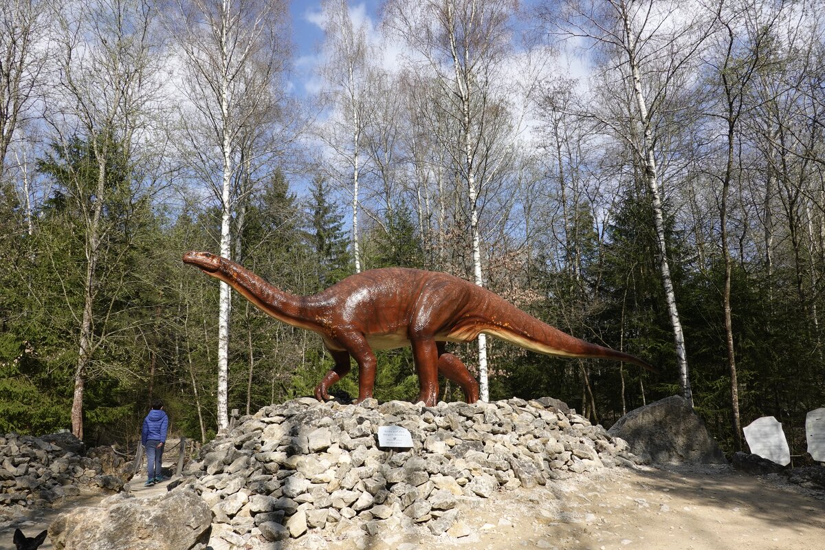 Динопарк в лесу, Ингольштадт, Германия... - Галина 