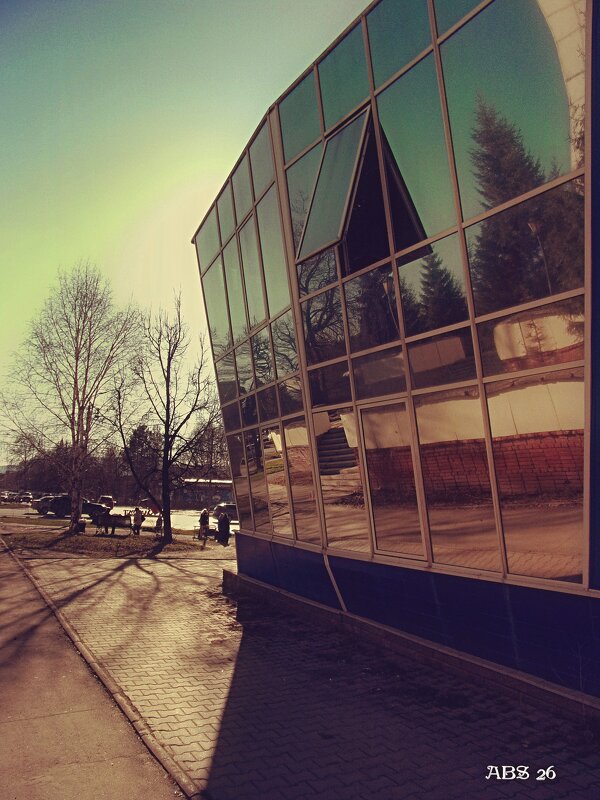 Отражение.. - Александр Шимохин