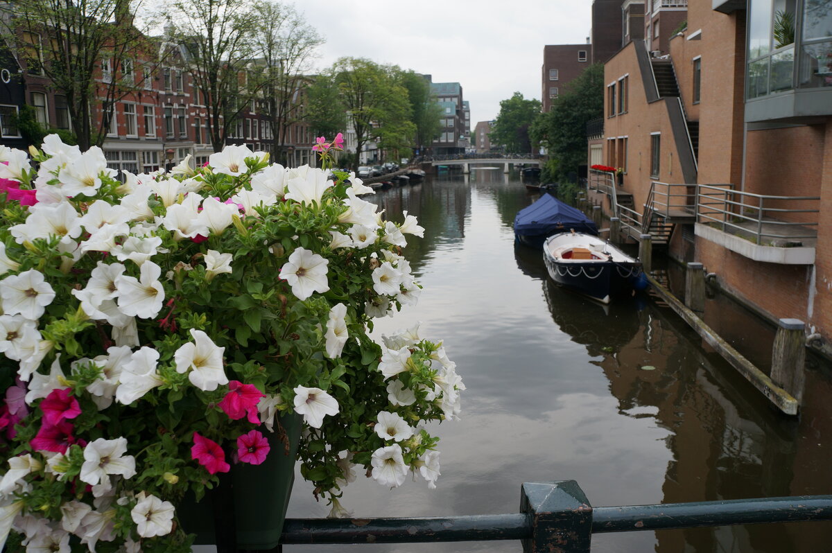 Прогулки по Амстердаму..... - Алёна Савина
