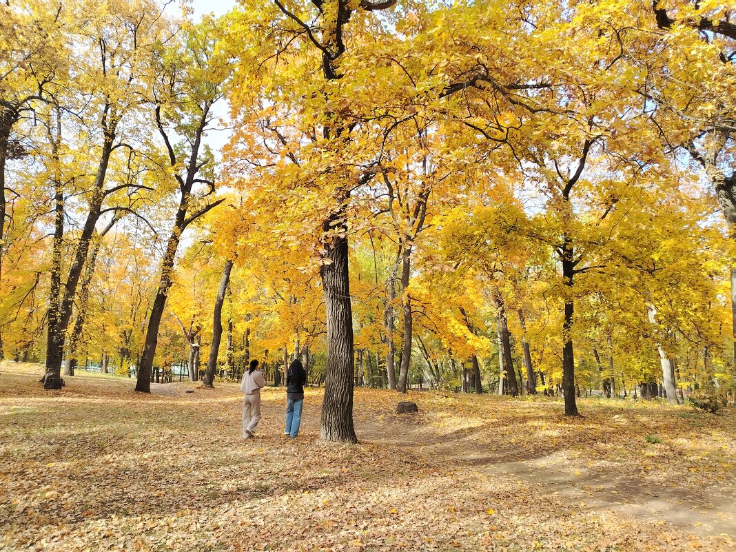 Золото осени - Надежда 