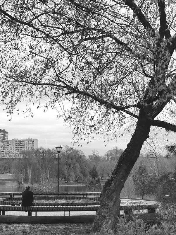 Уличная фотография. - Любимова Ольга 